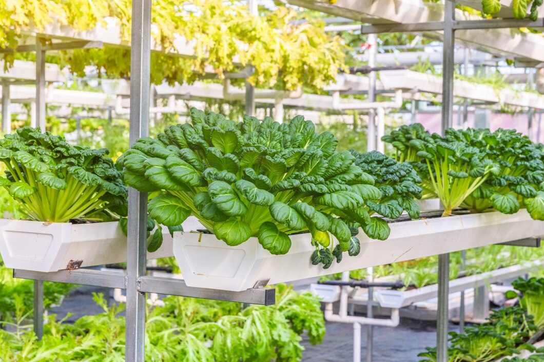 Czy warto inwestować w szklarnię do uprawy warzyw?