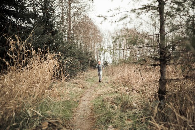 Odkrywanie magii leśnych ścieżek: jak natura może odmienić nasze codzienne życie